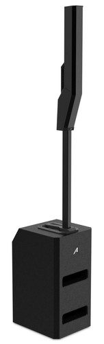 Detroit 1000X DSP Black Column Array Ses Sistemi — görsel 1