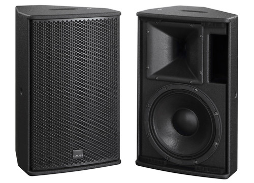 A4 Pasif Hoparlör 2 yol 10'' 300W 123dB — görsel 1